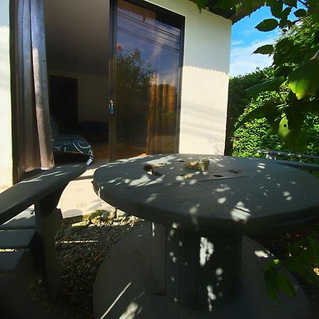 Anluka Estudio Puerto Jiménez Exterior foto